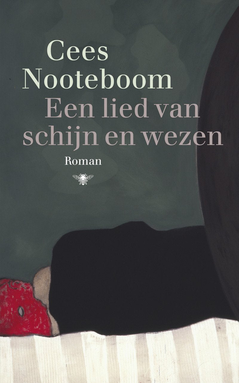 Een lied van schijn en wezen: roman book