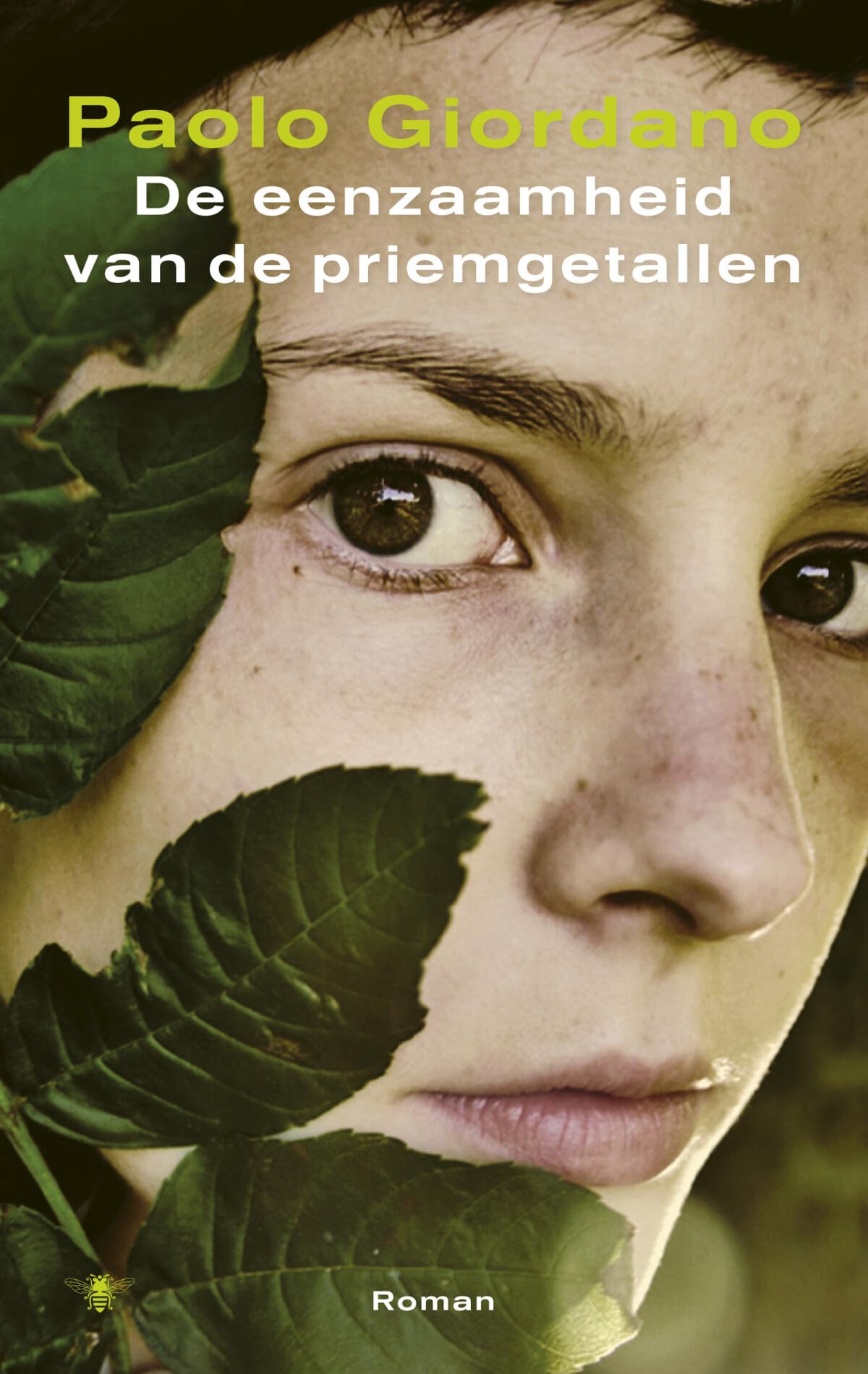 De eenzaamheid van de priemgetallen book