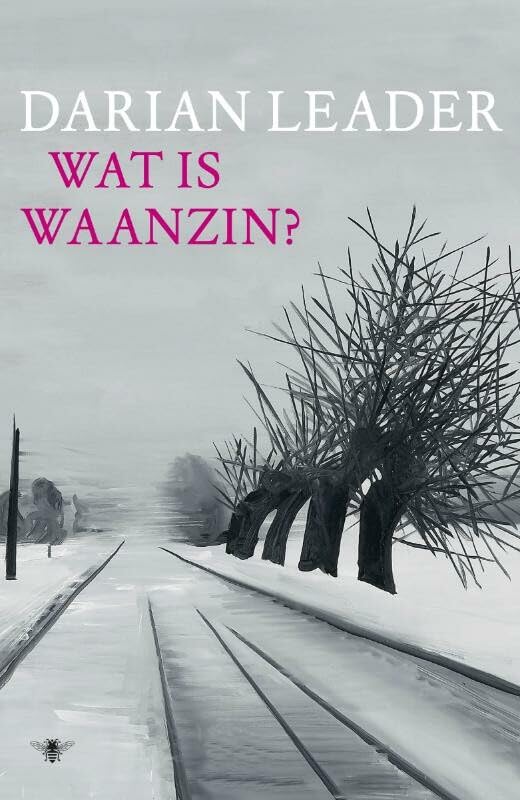 Product Image: Wat is waanzin?