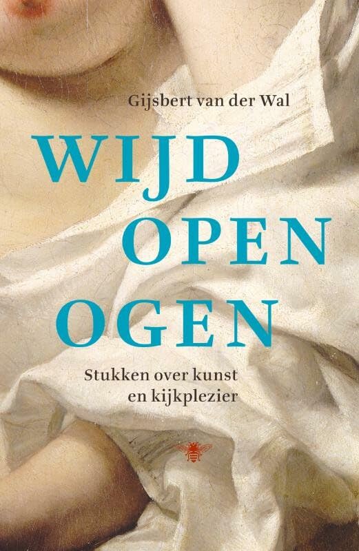 Wijd open ogen: stukken over kunst en kijkplezier book