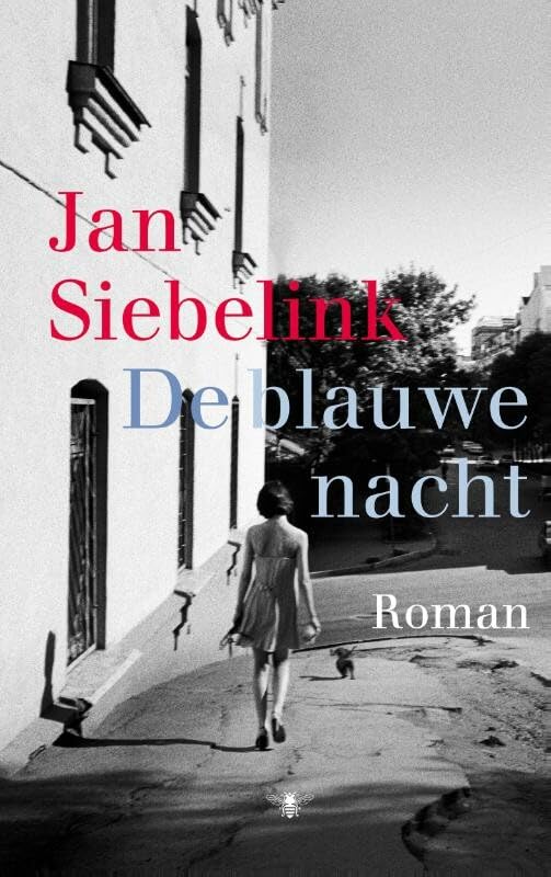De blauwe nacht: roman book