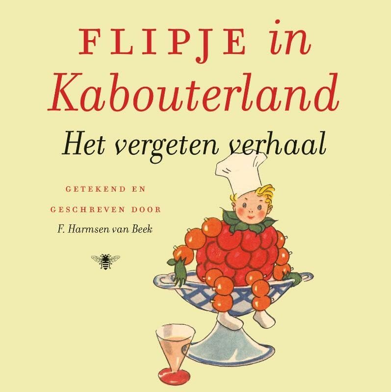 Flipje in kabouterland: het vergeten verhaal book