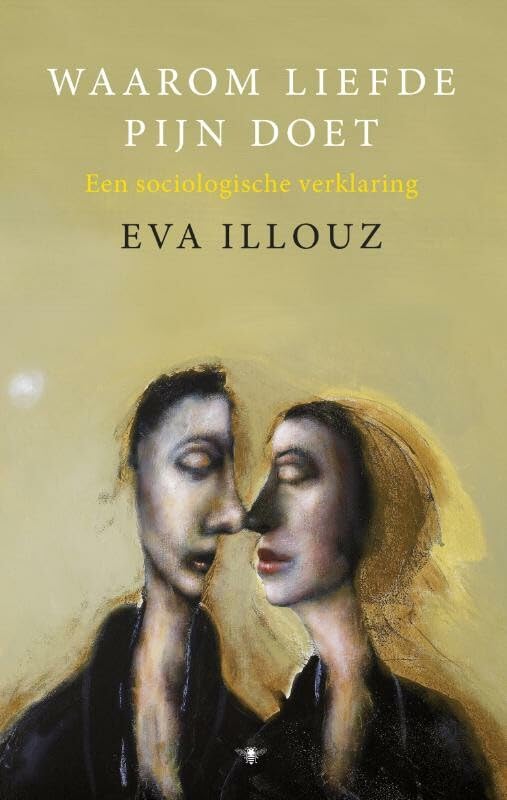 Waarom liefde pijn doet: een sociologische verklaring book
