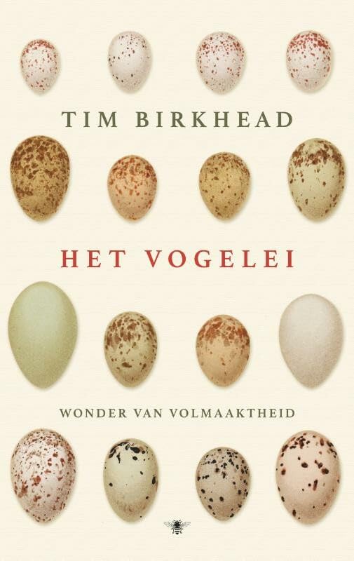 Het vogelei: wonder van volmaaktheid book