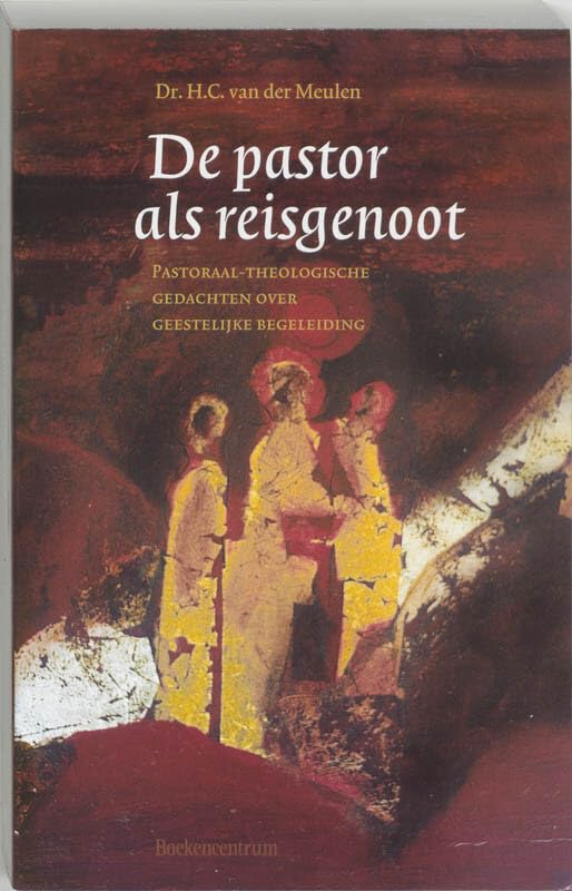 De pastor als reisgenoot: pastoraal-theologische gedachten over geestelijke begeleiding book