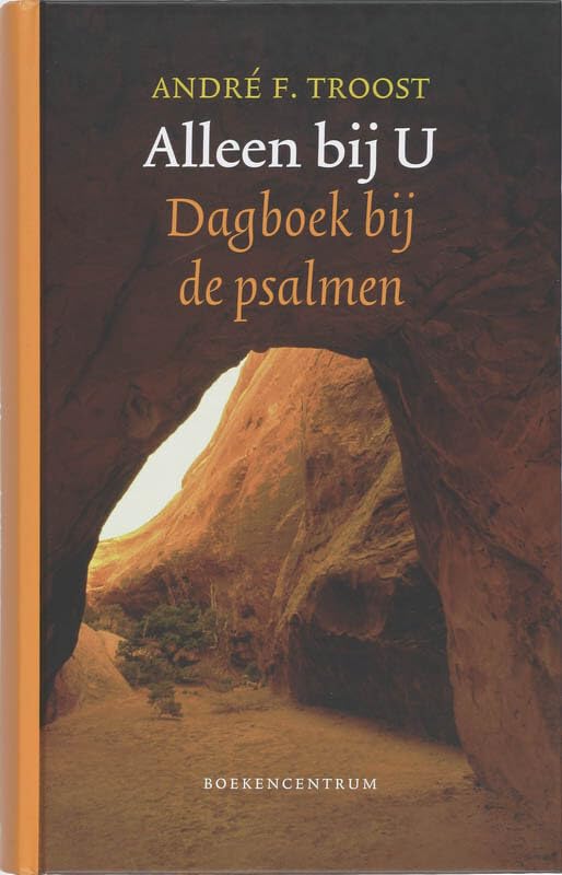 ALLEEN BIJ U - Dagboek bij de Psalmen book