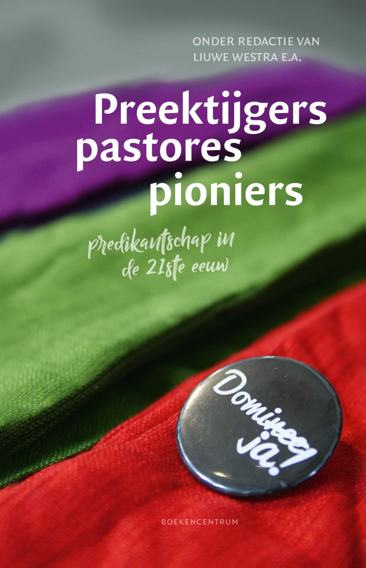 Preektijgers, pastores, pioniers: Predikantschap in de 21e eeuw book