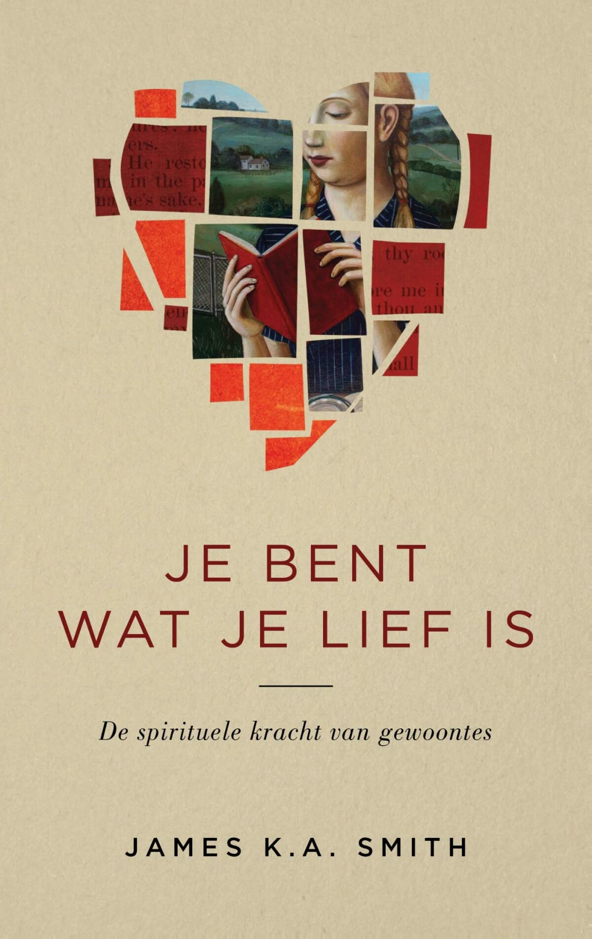 Je bent wat je lief is: de spirituele kracht van gewoontes book