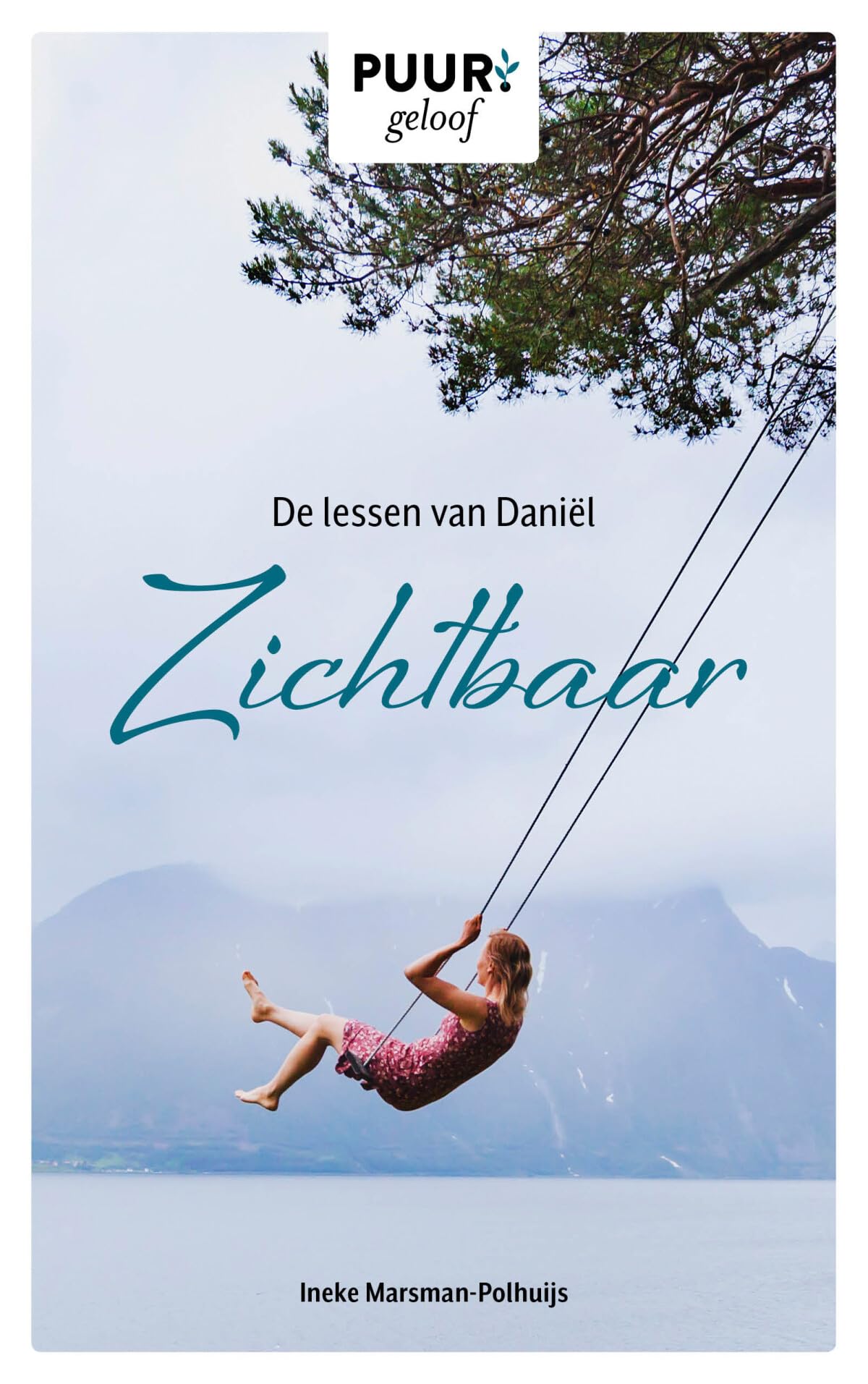 De lessen van Daniël: Zichtbaar book