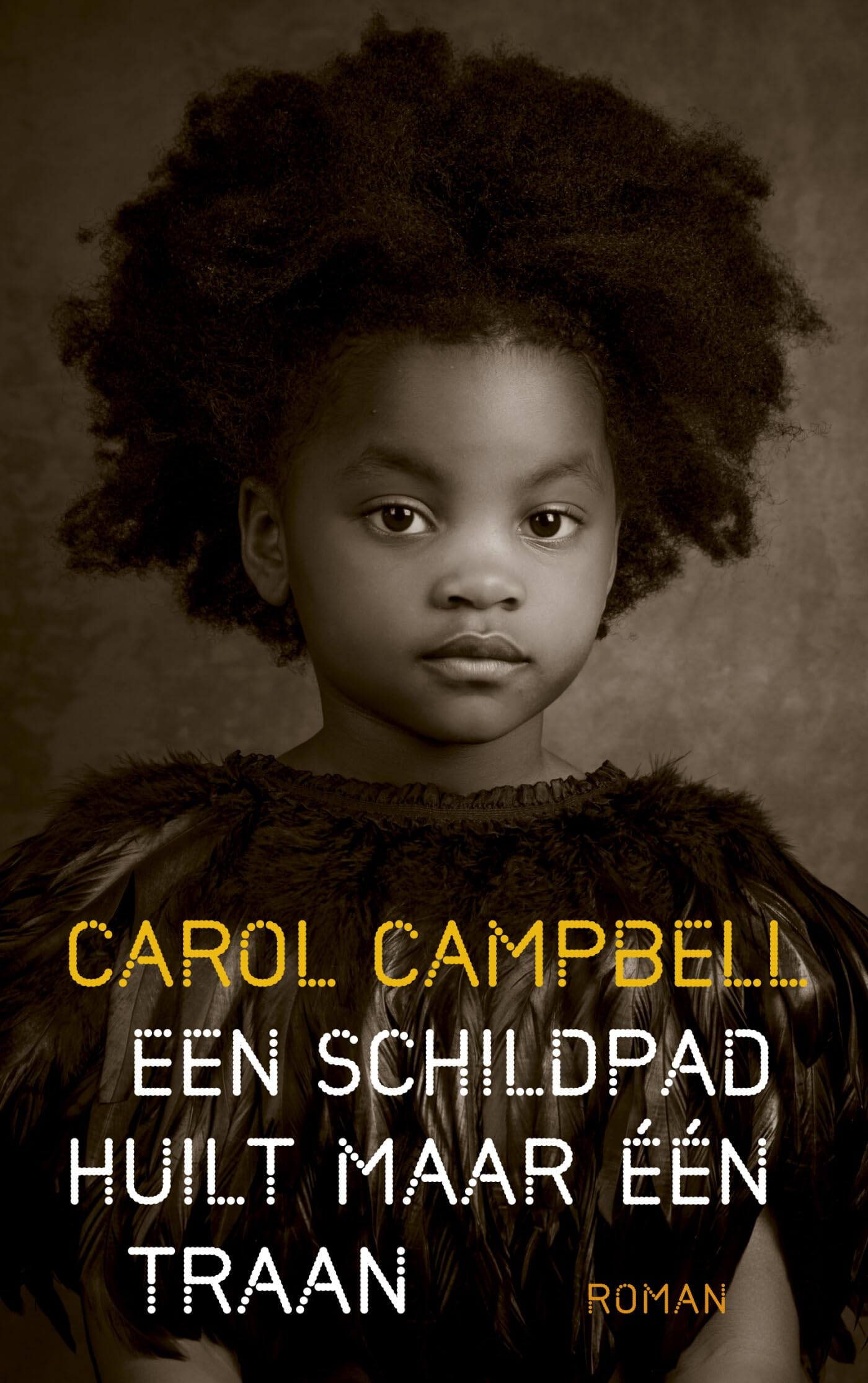 Een schildpad huilt maar één traan book