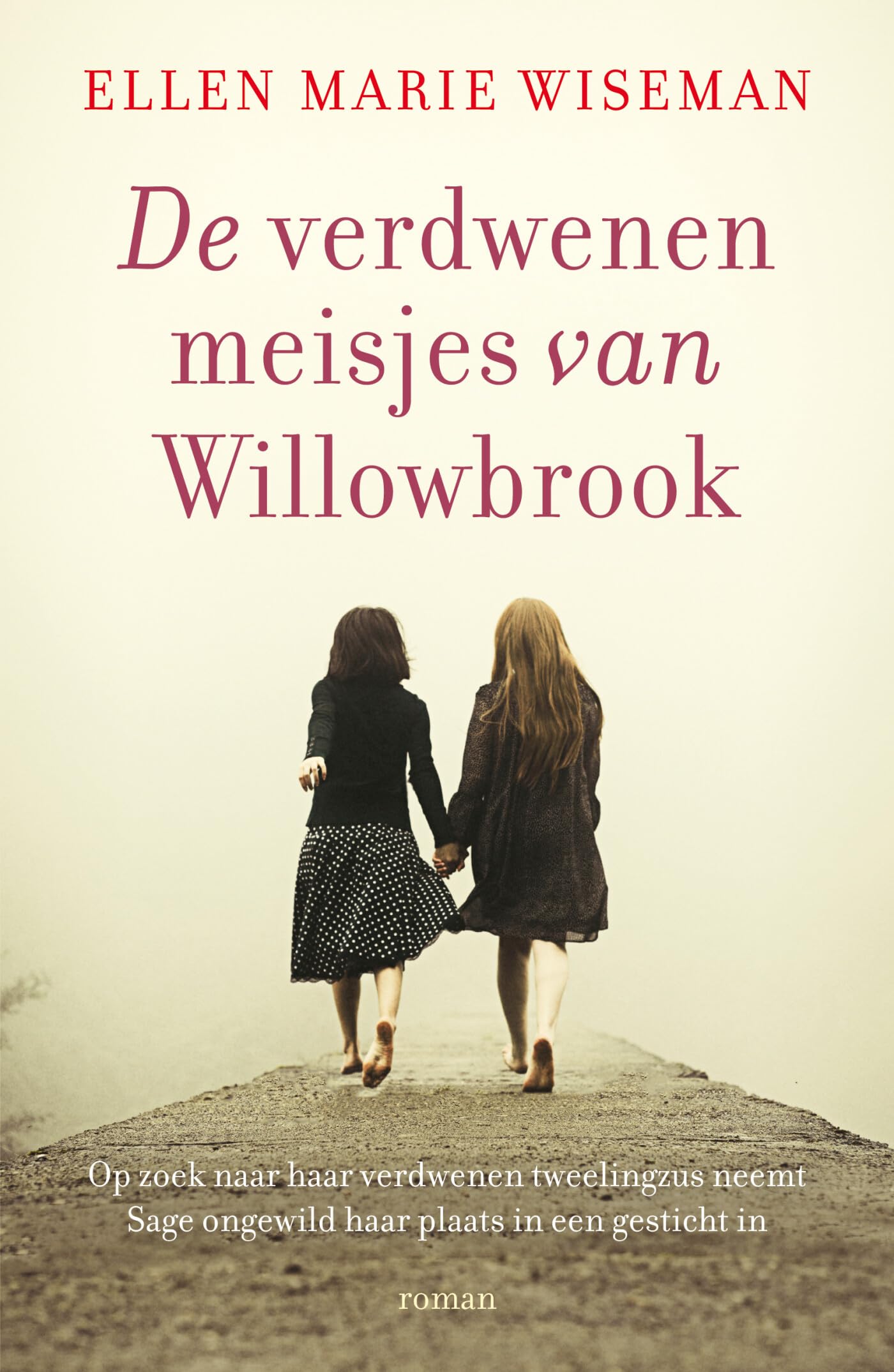 De verdwenen meisjes van Willowbrook: roman Historical Fiction