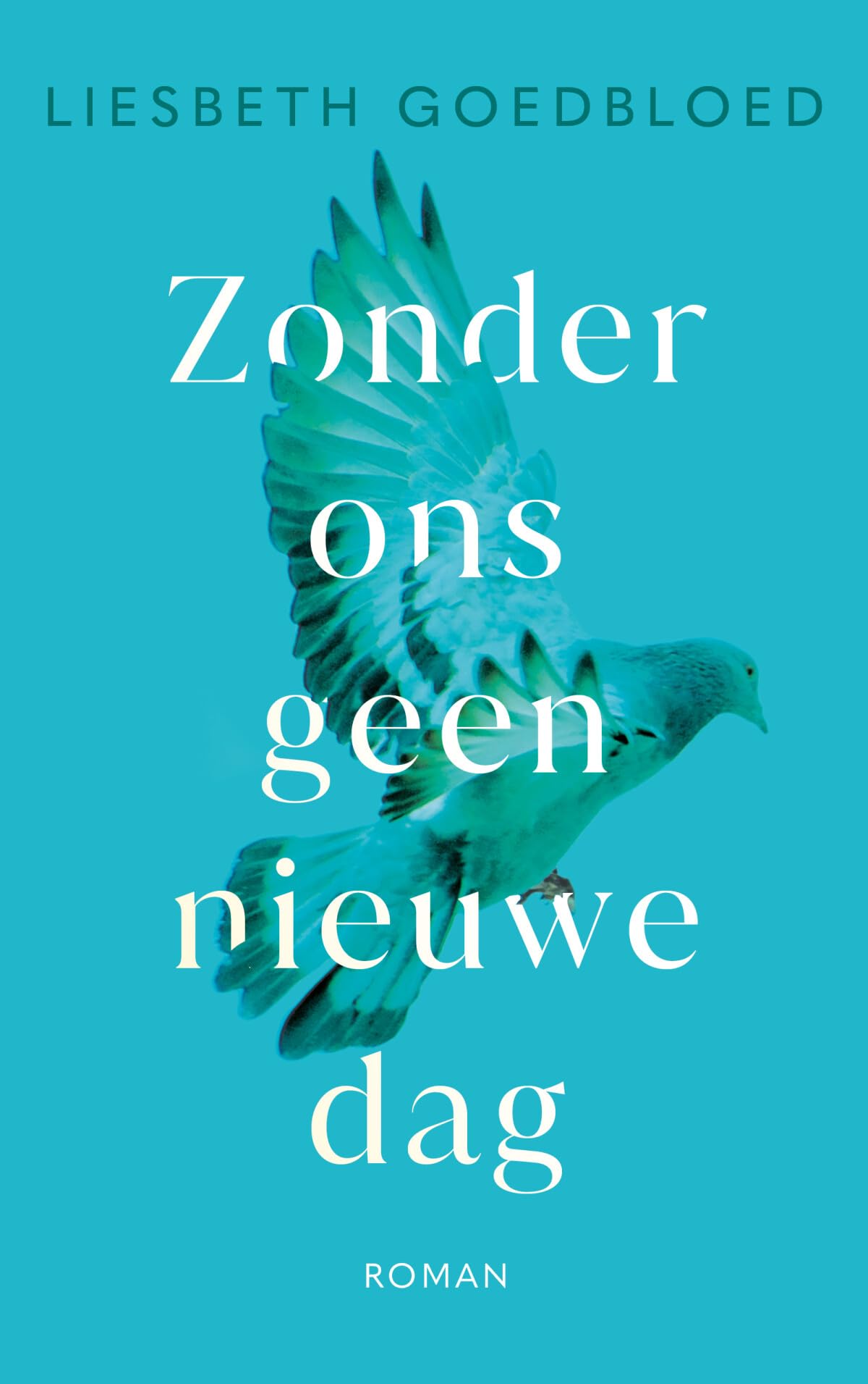 Zonder ons geen nieuwe dag book