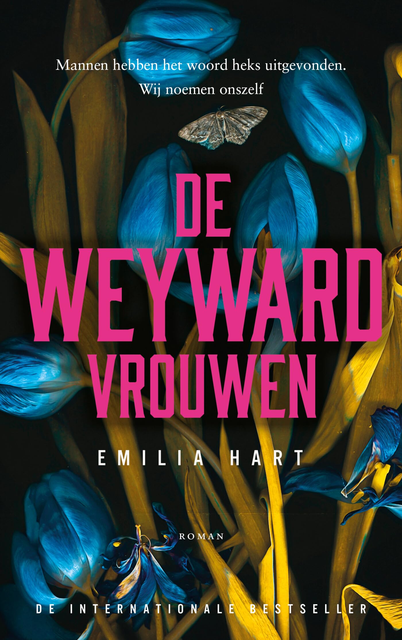 De Weyward-vrouwen: roman Historical Fiction