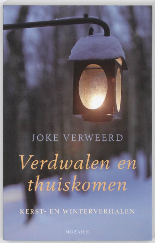 Verdwalen en thuiskomen: kerst- en winterverhalen book