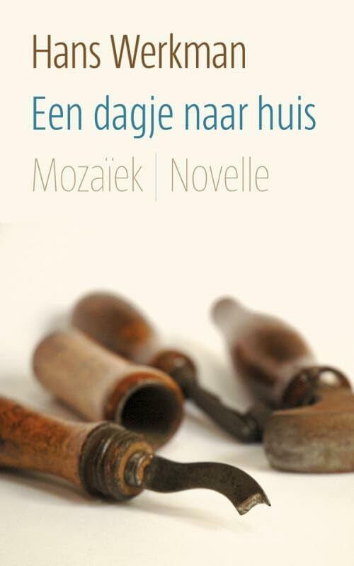 Een dagje naar huis: novelle book