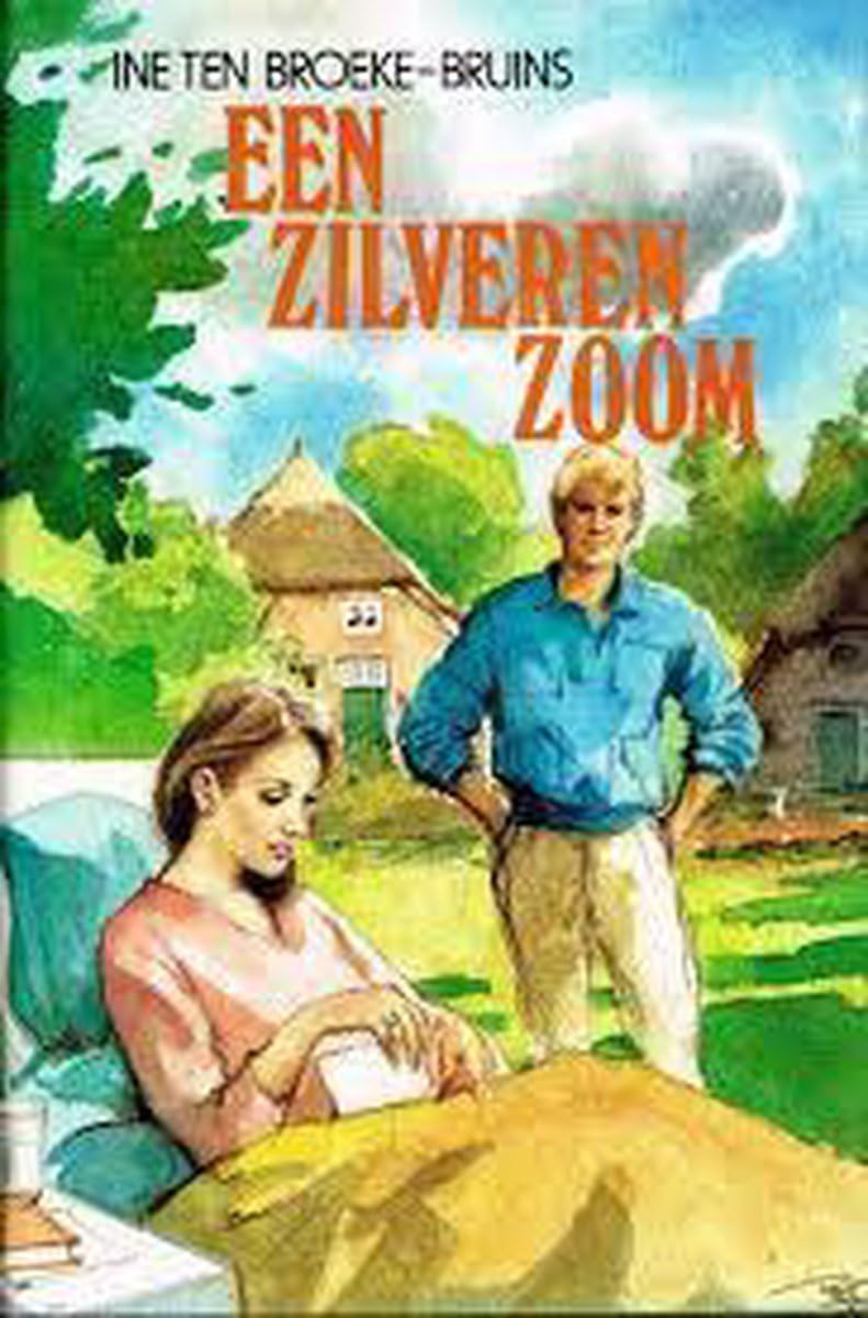 Een zilveren zoom book