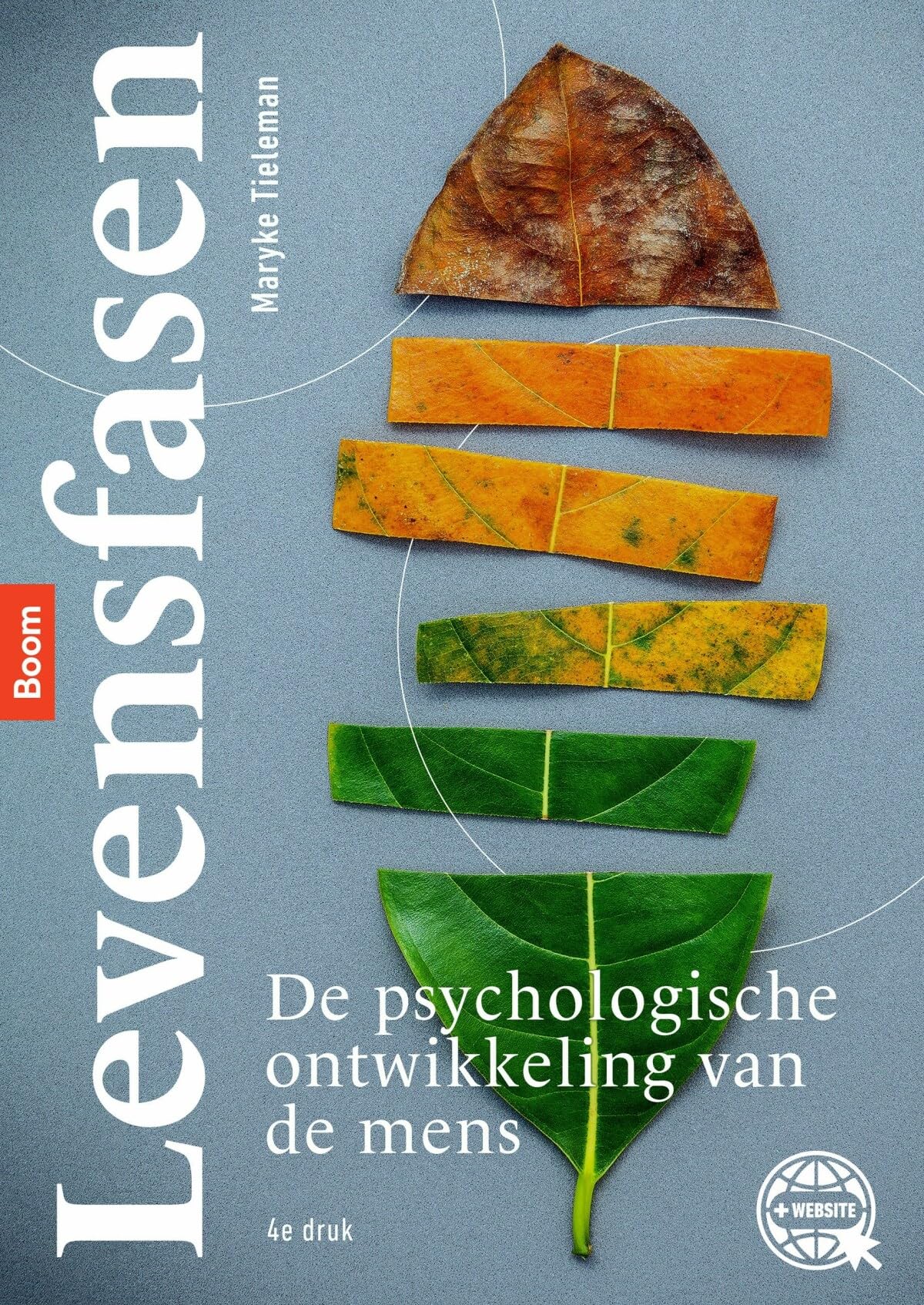 Levensfasen: de psychologische ontwikkeling van de mens book