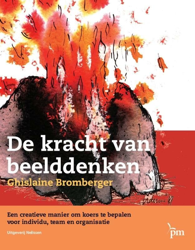 De kracht van beelddenken: een creatieve manier om koers te bepalen voor individu, team en organisatie book
