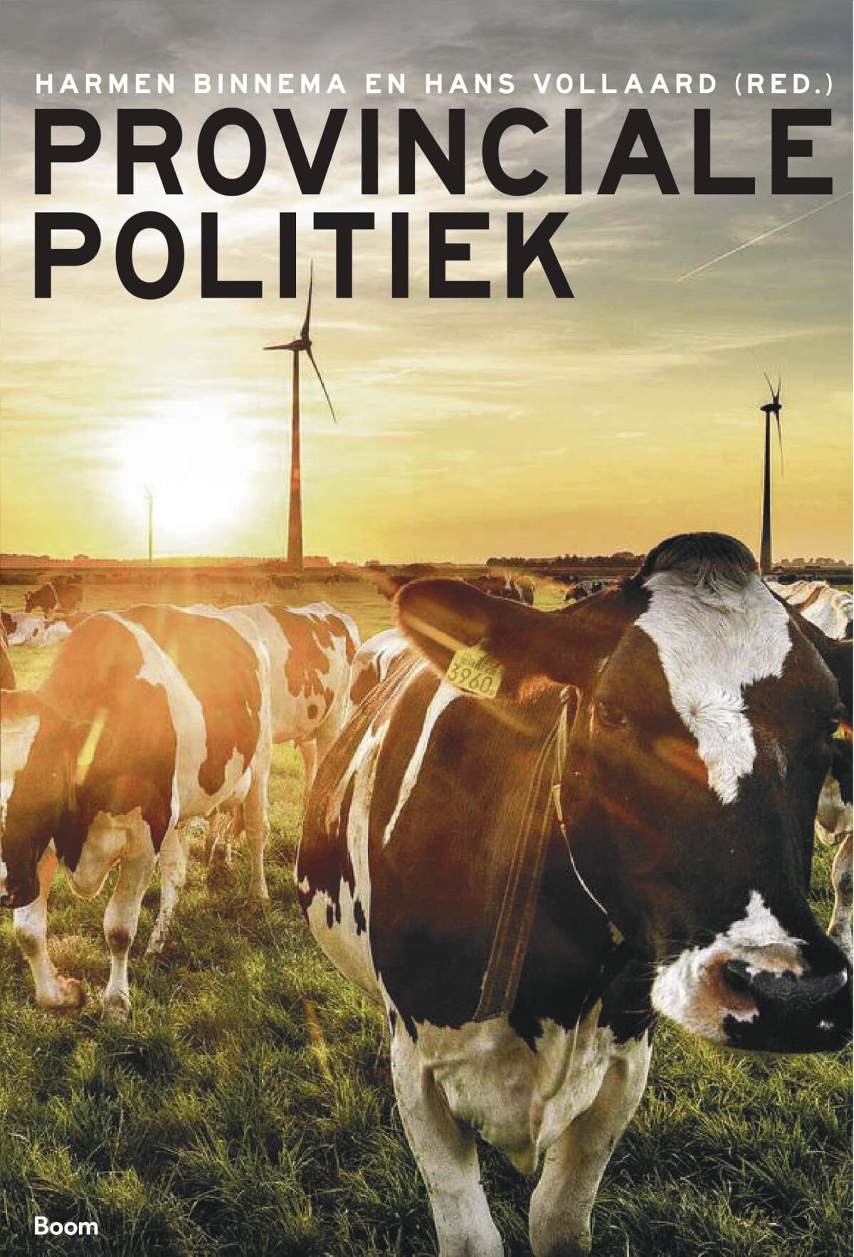 Provinciale politiek: De provincies democratisch getoetst Politics & History