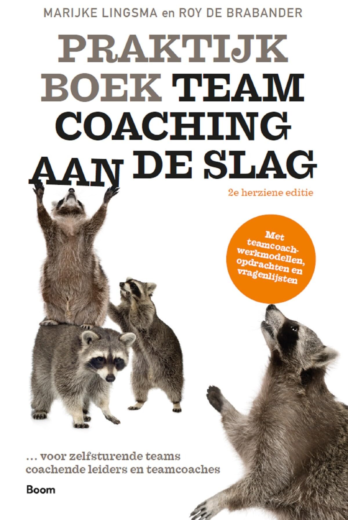 Praktijkboek teamcoaching: aan de slag book