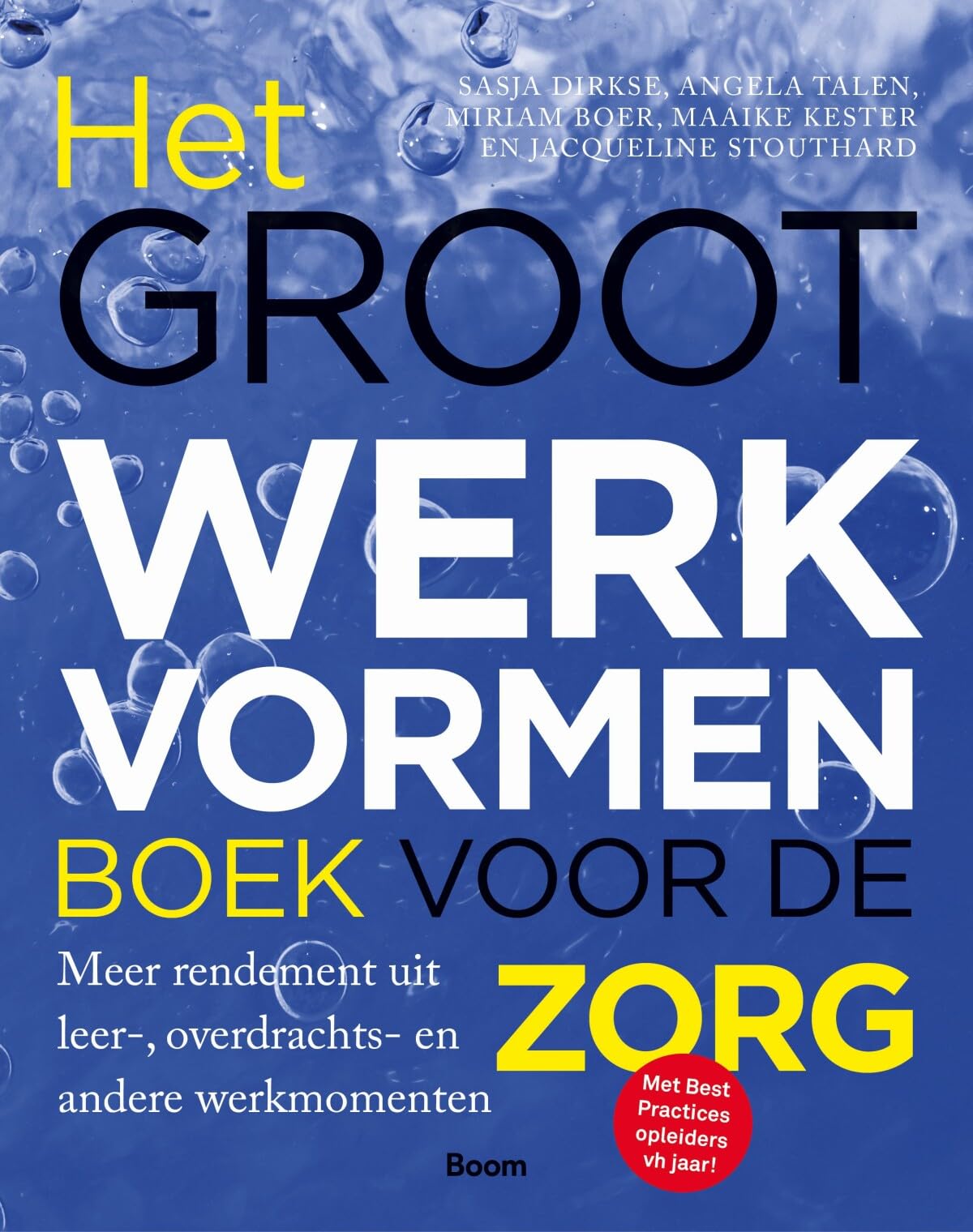 Het groot werkvormenboek voor de zorg: meer rendement uit leer-, overdrachts- en andere werkmomenten book