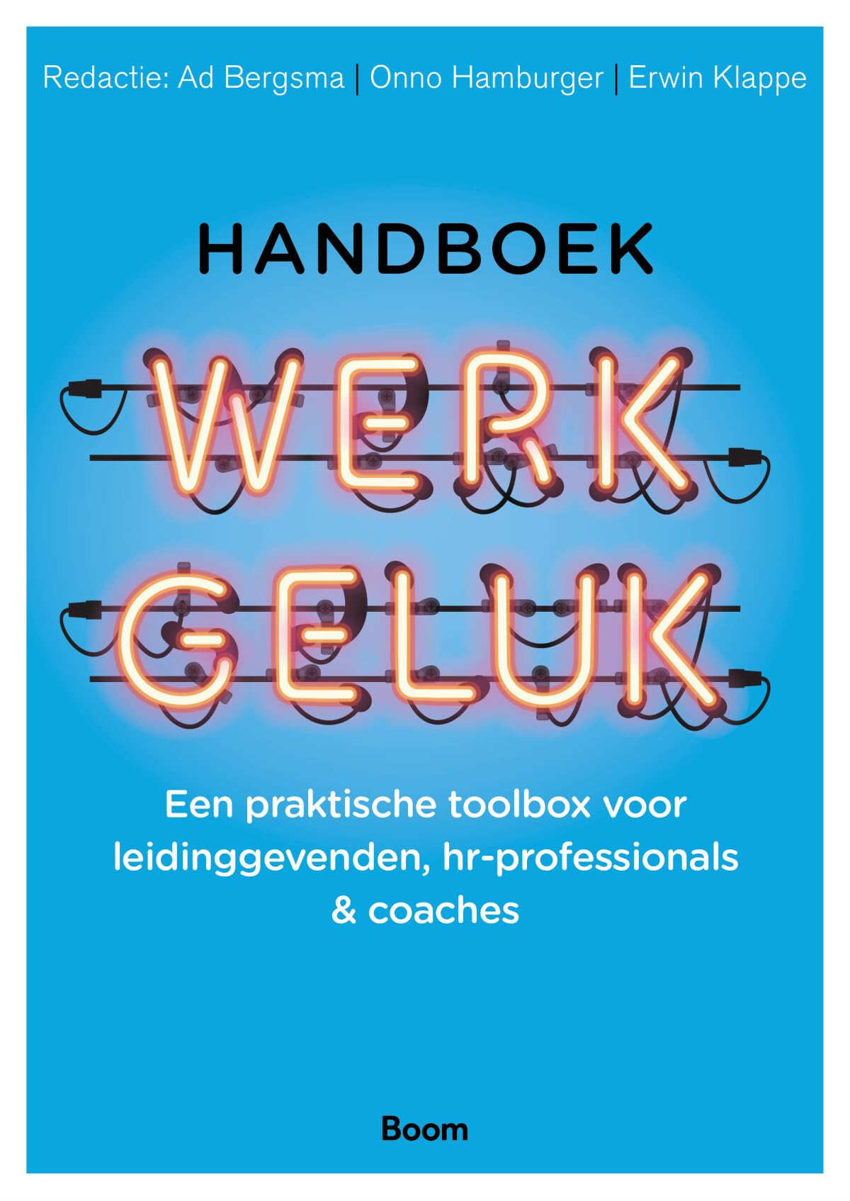 Handboek werkgeluk: een praktische toolbox voor leidinggevenden, hr-professionals & coaches Business, Finance & Career