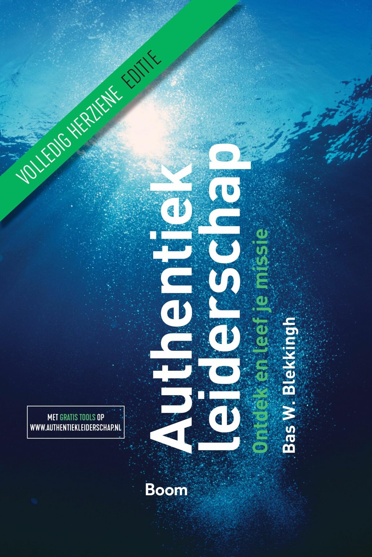 Authentiek leiderschap: Ontdek en leef je missie Business, Finance & Career