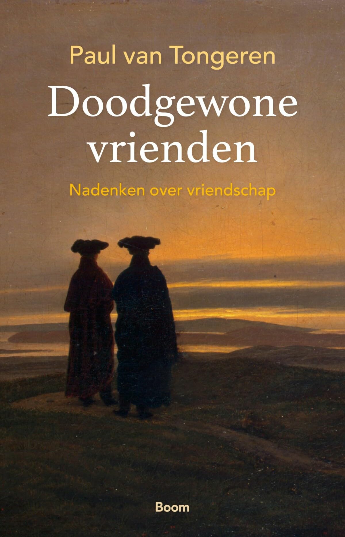 Doodgewone vrienden: nadenken over vriendschap Philosophy