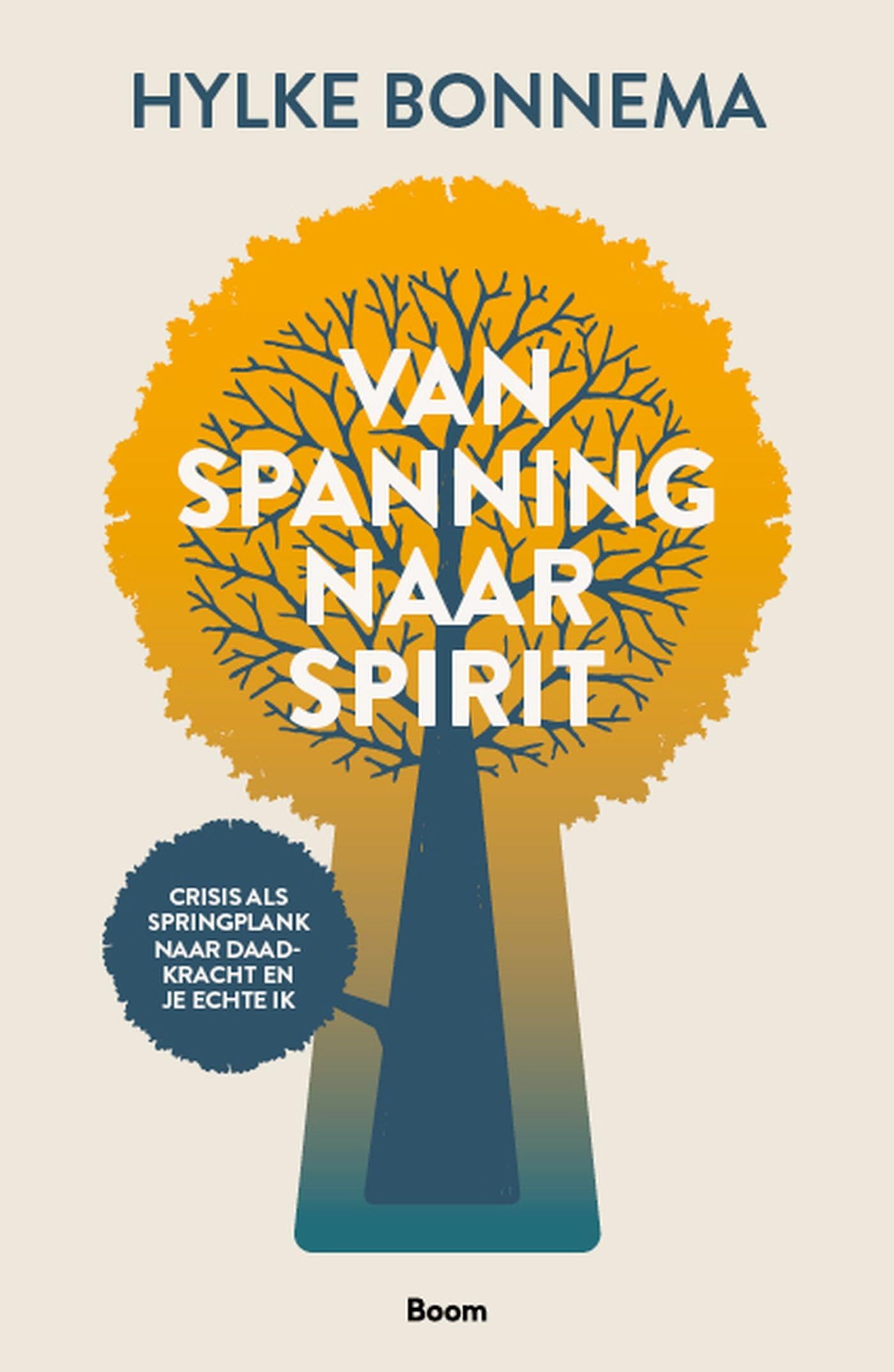 Van spanning naar spirit: crisis als springplank naar daadkracht en je echte ik book