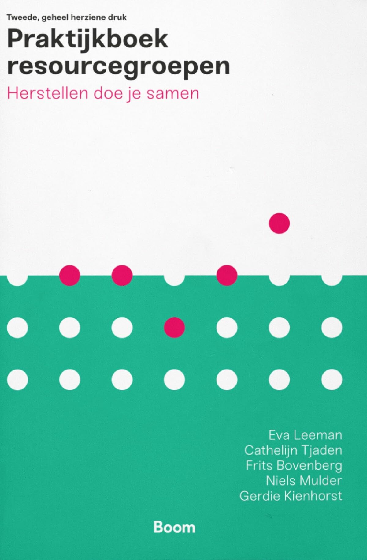 Praktijkboek resourcegroepen: herstellen doe je samen book