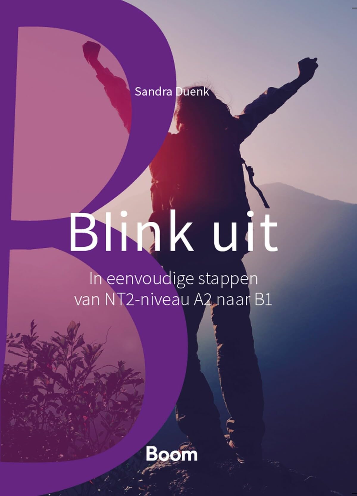 Blink uit: in eenvoudige stappen van NT2-niveau A2 naar B1 book