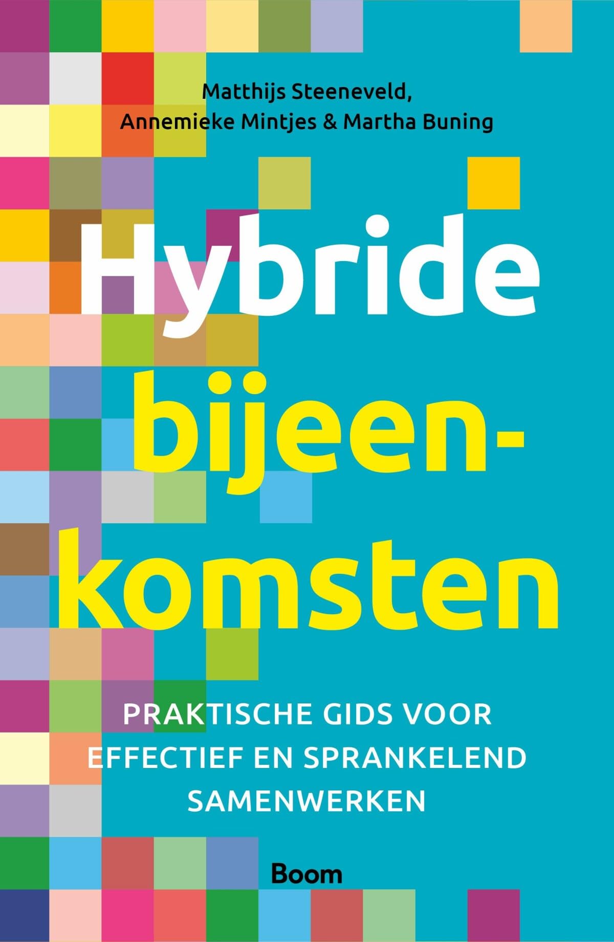 Hybride bijeenkomsten: praktische gids voor effectief en sprankelend samenwerken book