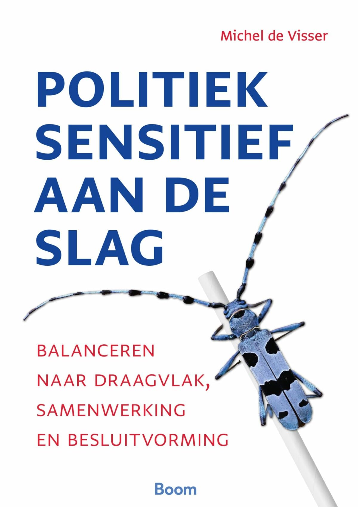 Politiek sensitief aan de slag: Balanceren naar draagvlak, samenwerking en besluitvorming Business, Finance & Career