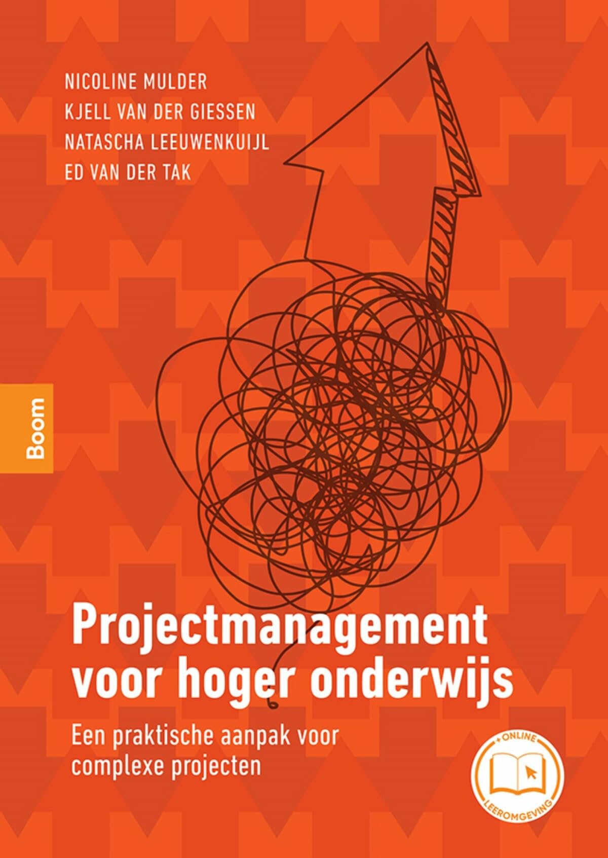 Projectmanagement voor hoger onderwijs: Een praktische aanpak voor complexe projecten book
