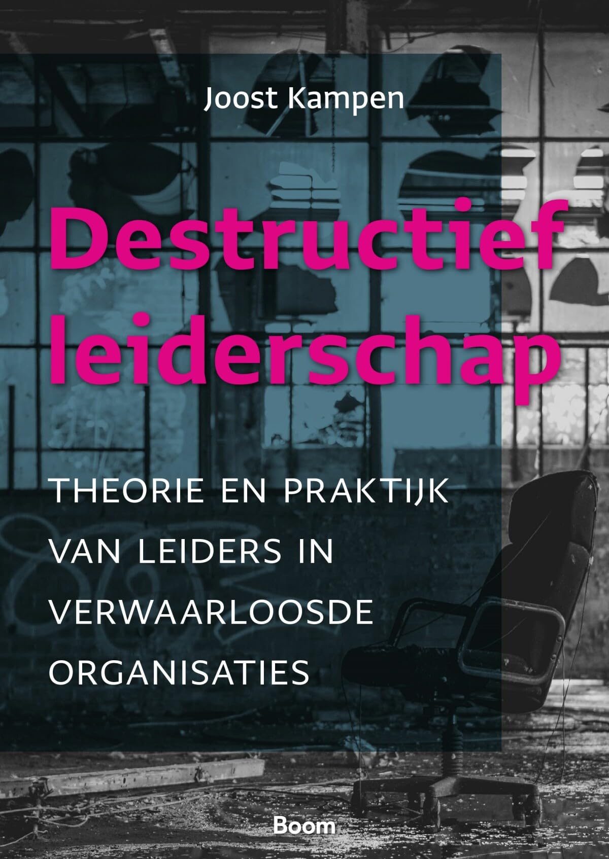 Destructief leiderschap: theorie en praktijk van leiders in verwaarloosde organisaties book