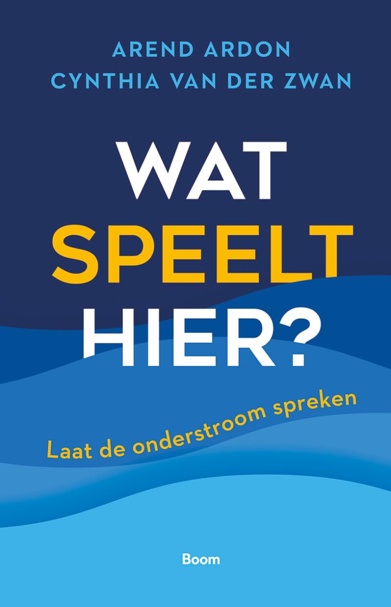 Wat speelt hier?: laat de onderstroom spreken book