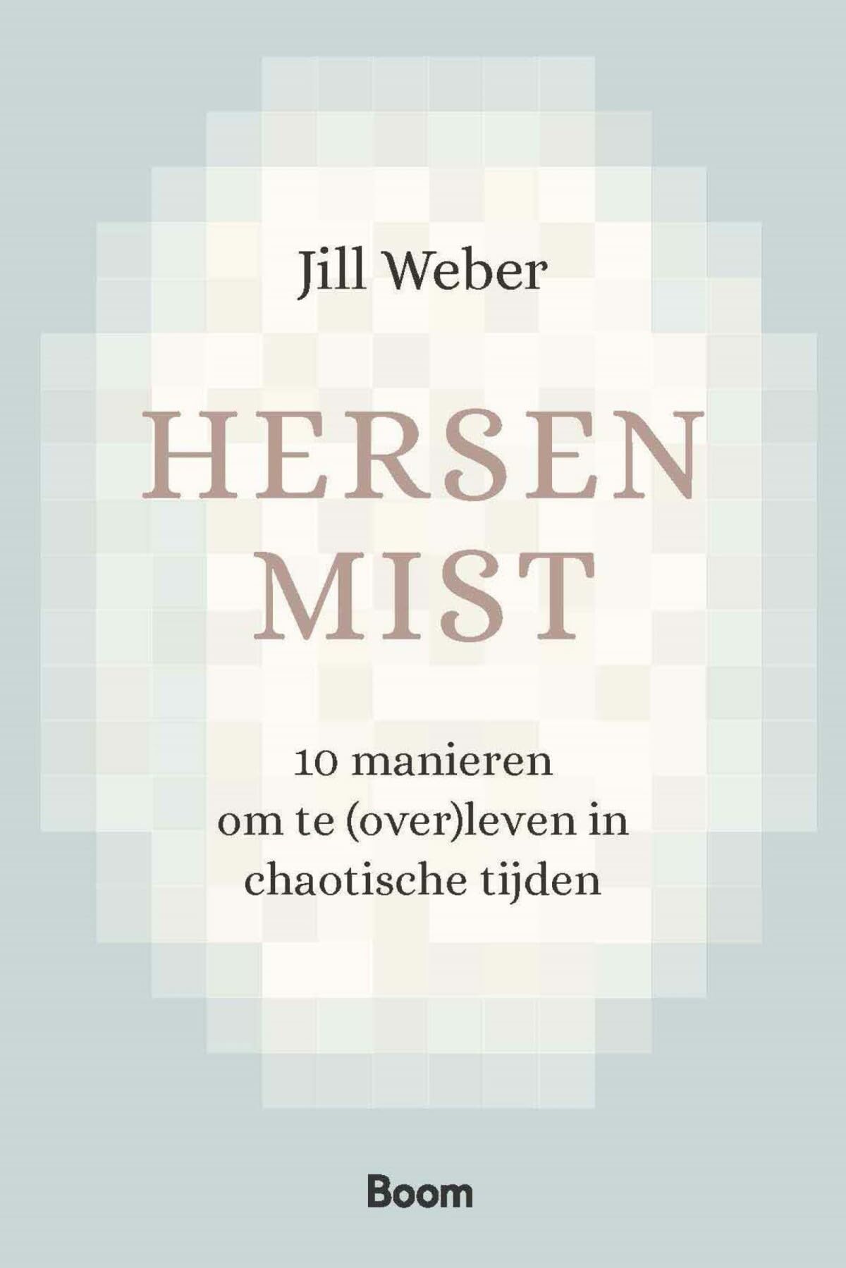 Hersenmist: 10 manieren om te (over)leven in chaotische tijden book