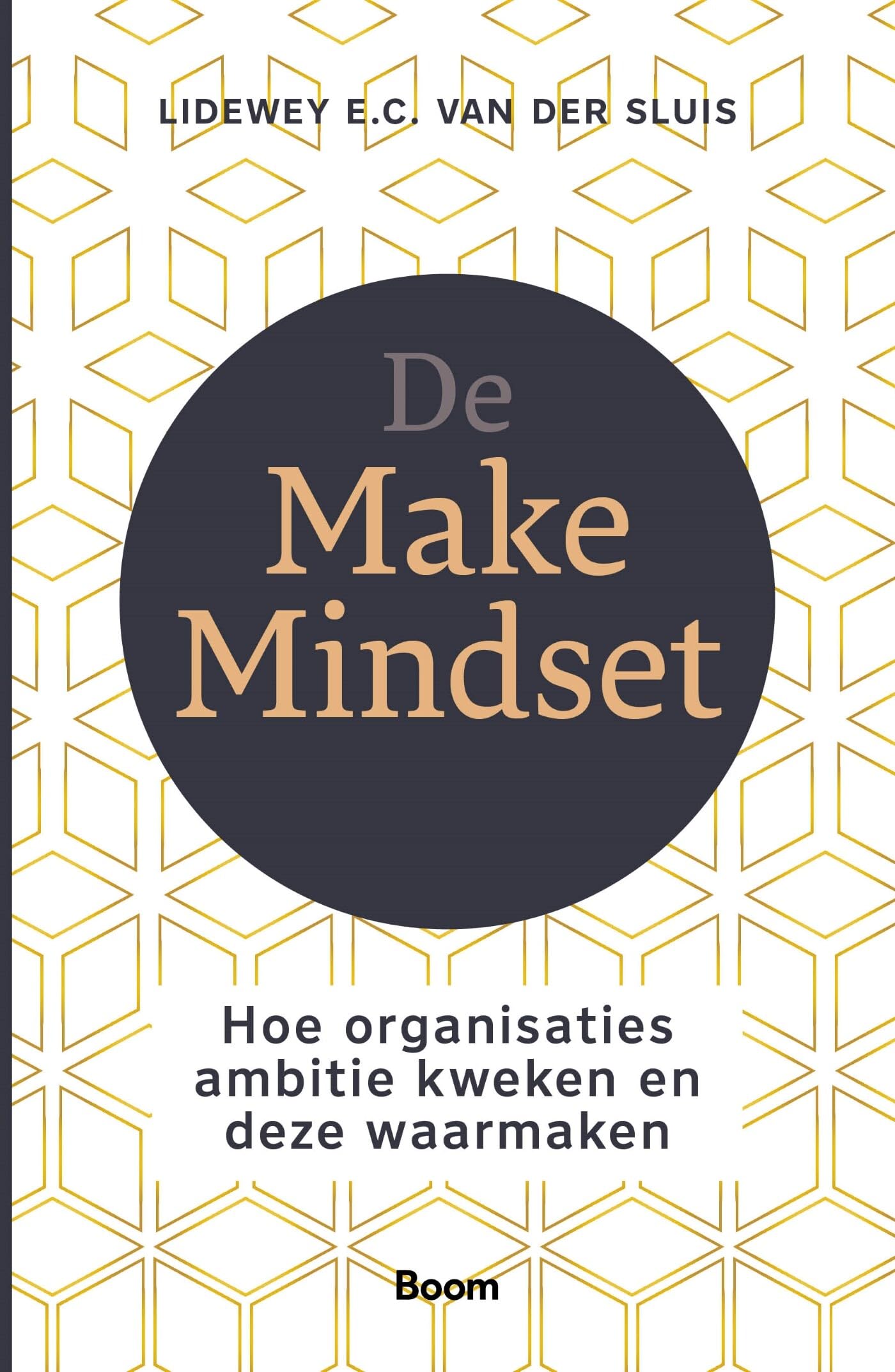 De Make Mindset: hoe organisaties ambitie kweken en waarmaken book