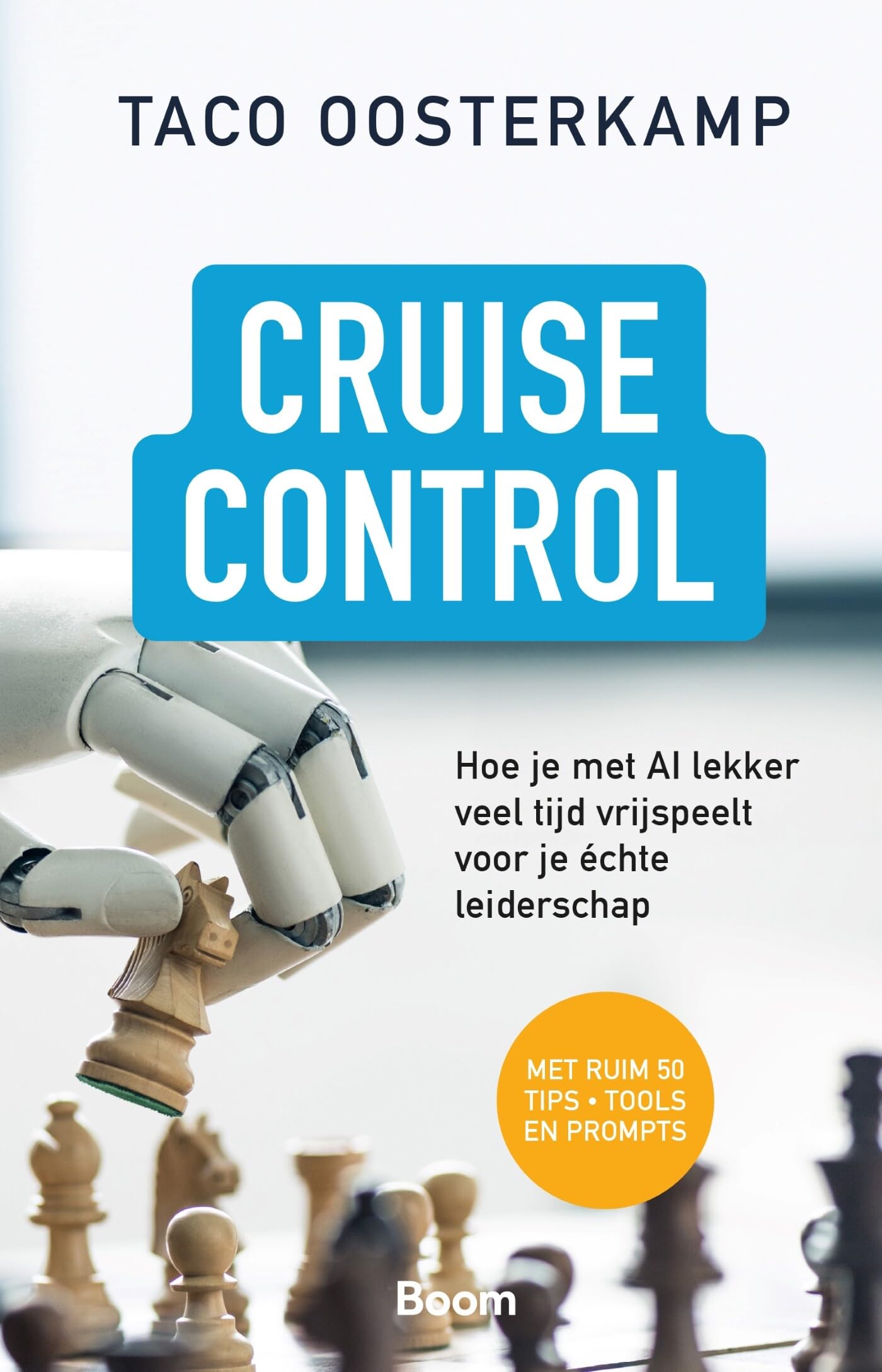 Cruise Control: Hoe je met AI lekker veel tijd vrijspeelt voor je échte leiderschap book