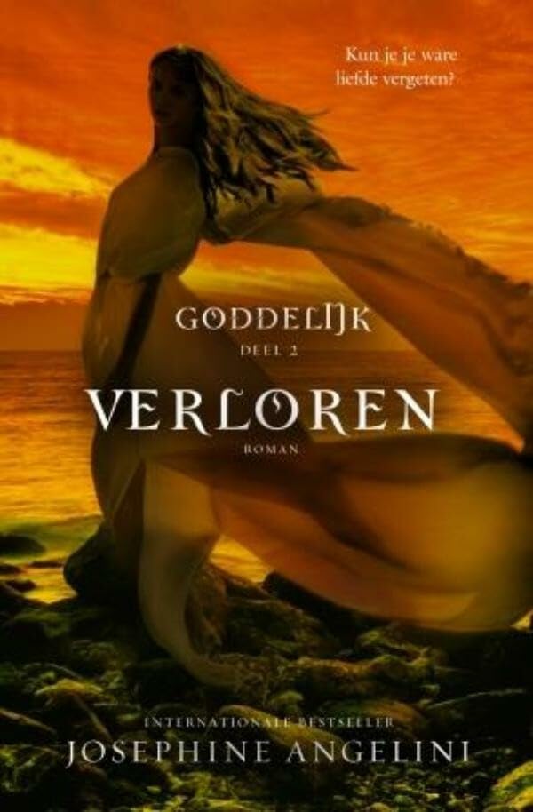 Verloren: roman book