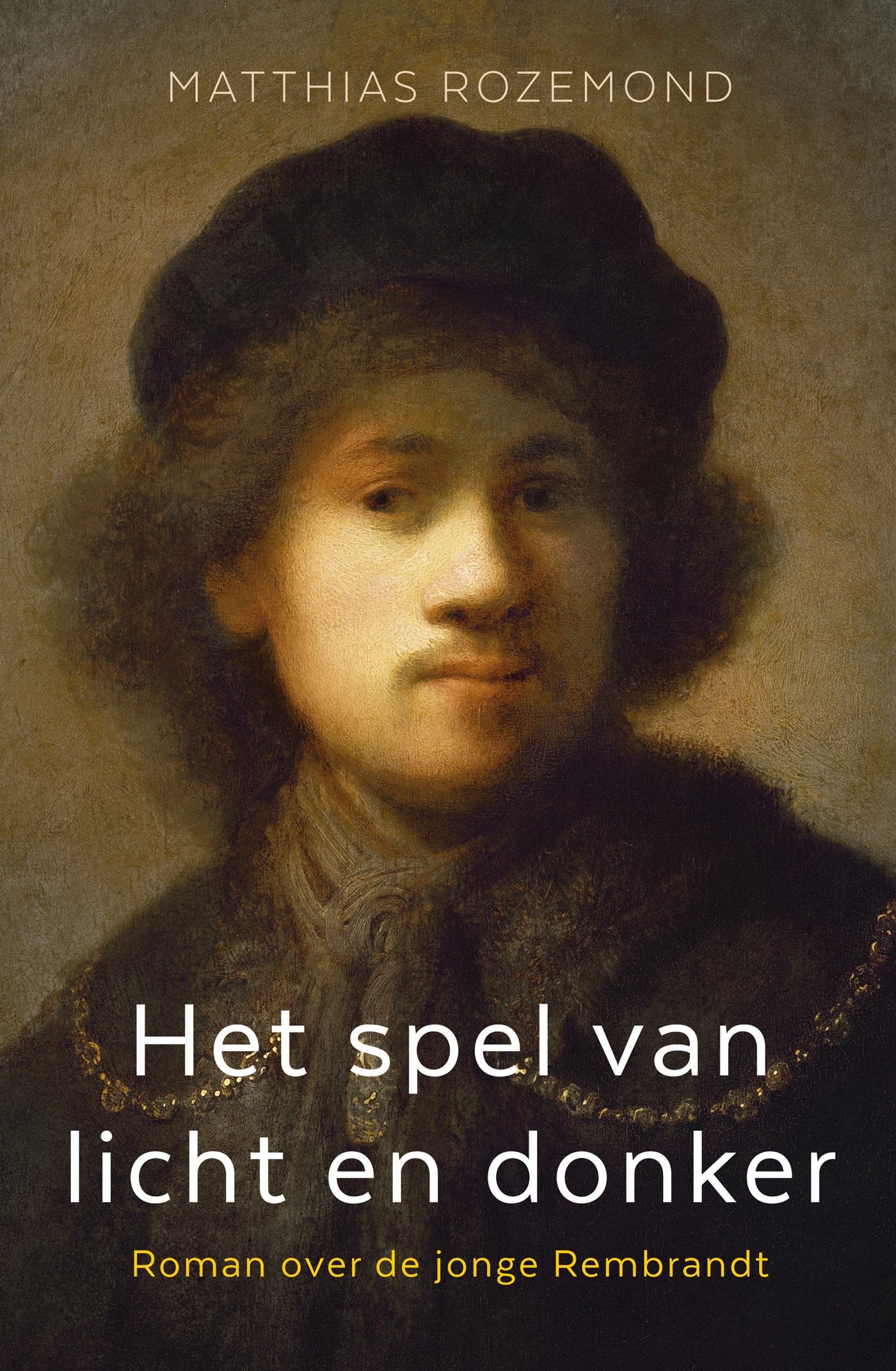 Het spel van licht en donker: roman over de jonge Rembrandt book