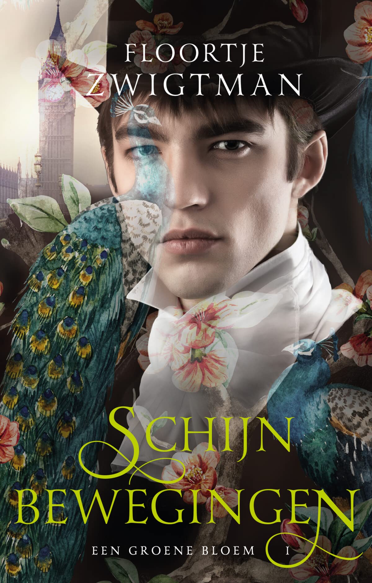 Schijnbewegingen book
