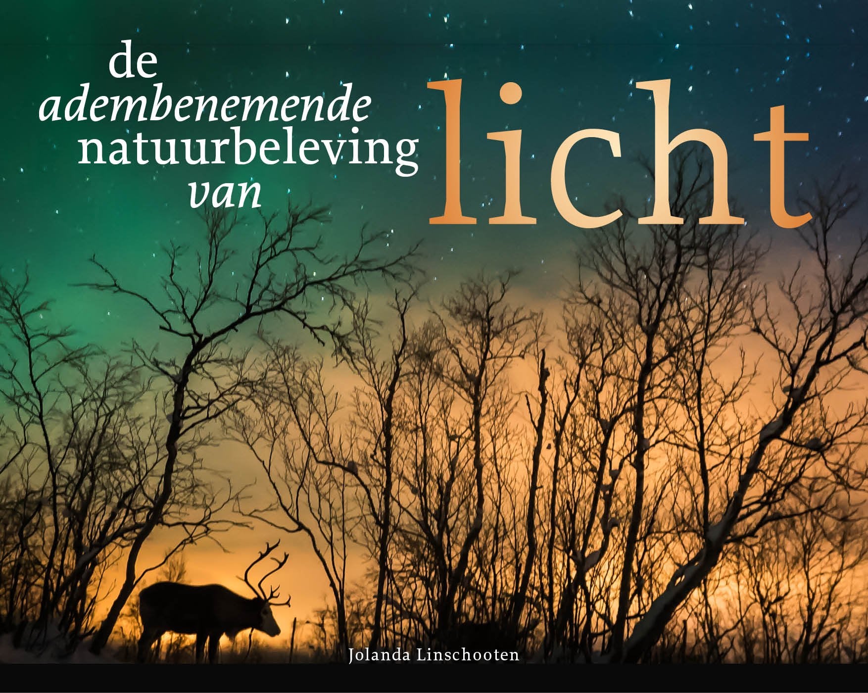 Licht: De Adembenemende natuurbeleving van Mathematics