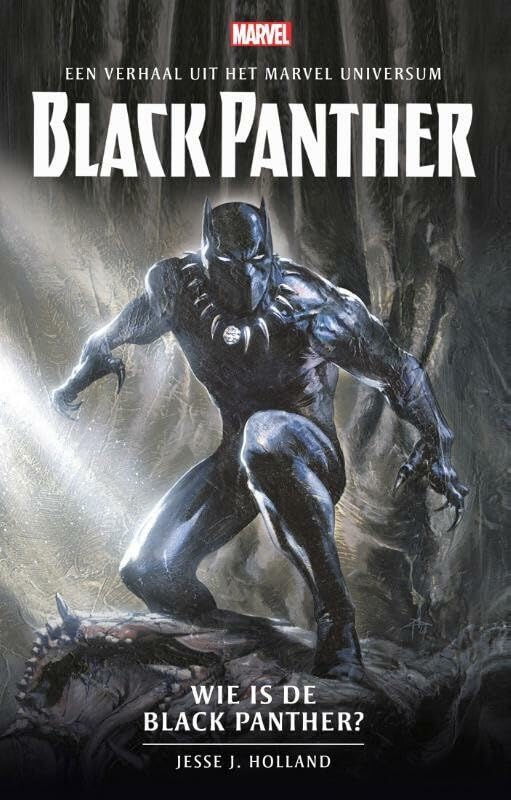 Wie is de Black Panther? (Een verhaal uit het Marvel-universum) Contemporary literature