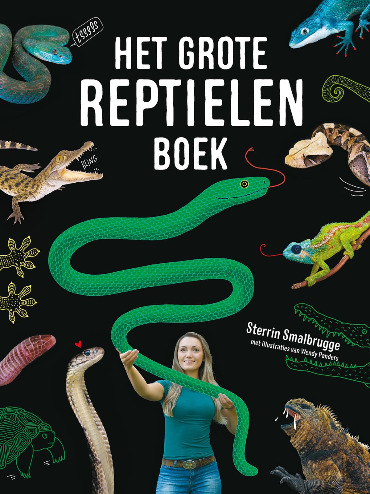 Het grote reptielenboek book