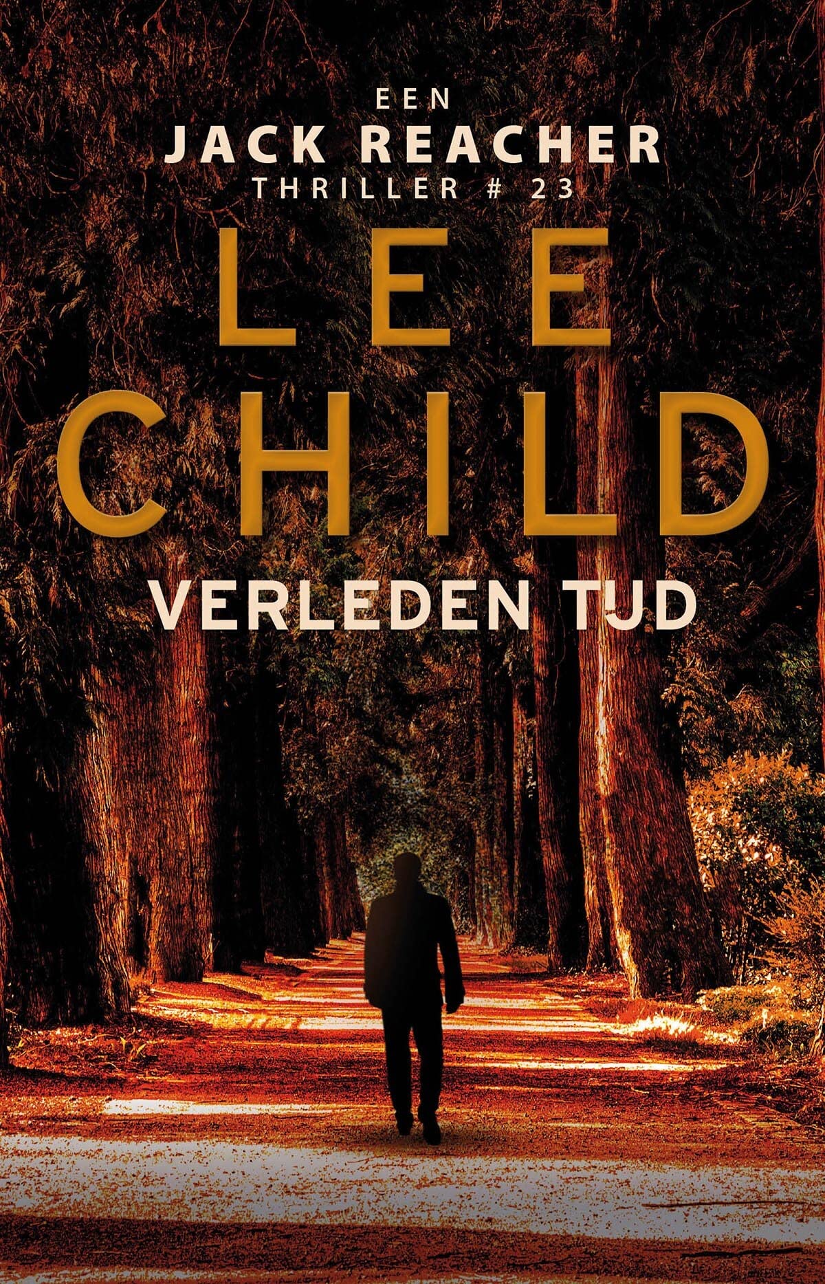 Verleden tijd (Jack Reacher, 23) Action & Adventure