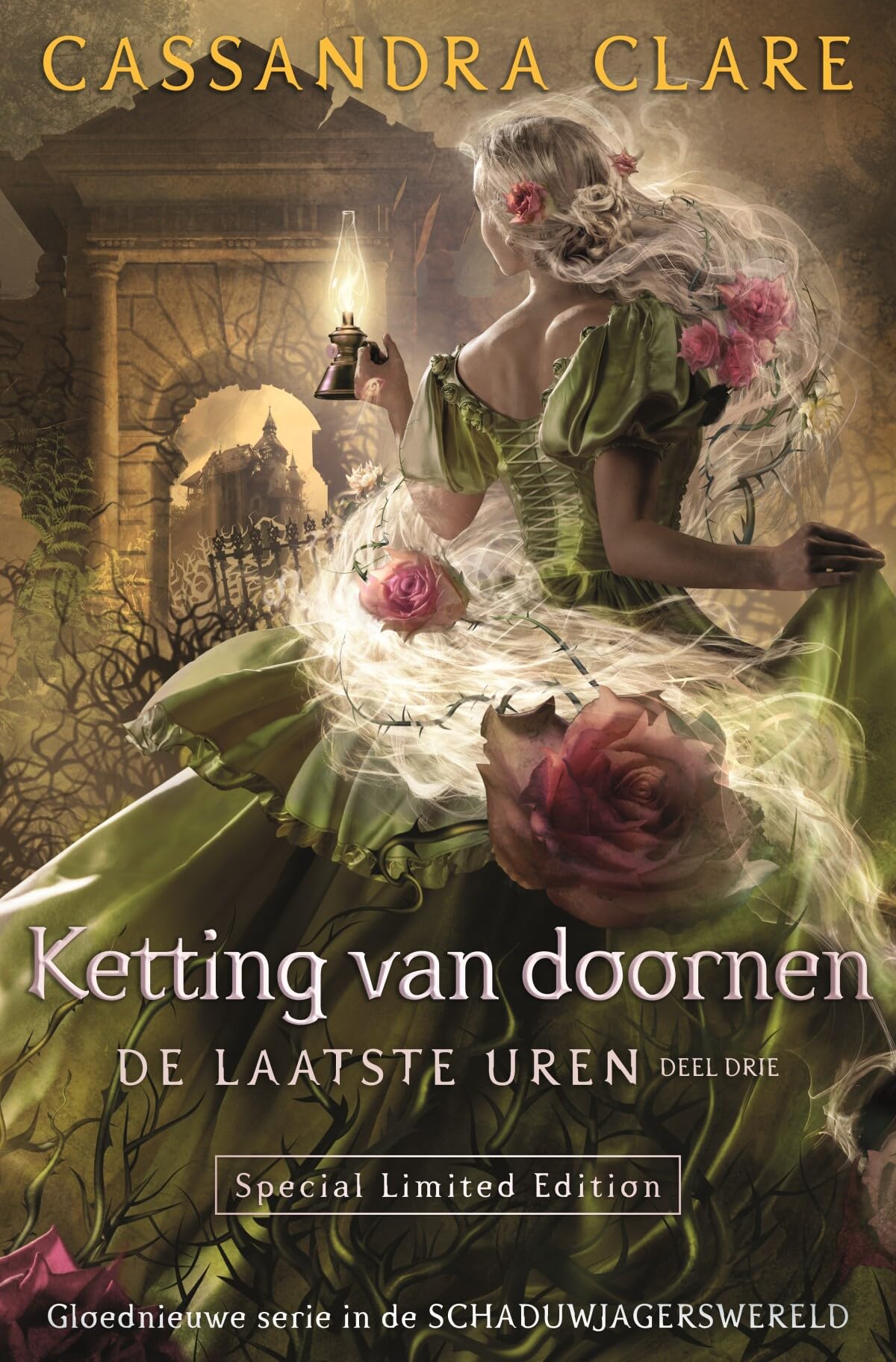 Ketting van doornen (De laatste uren, 3) Action & Adventure