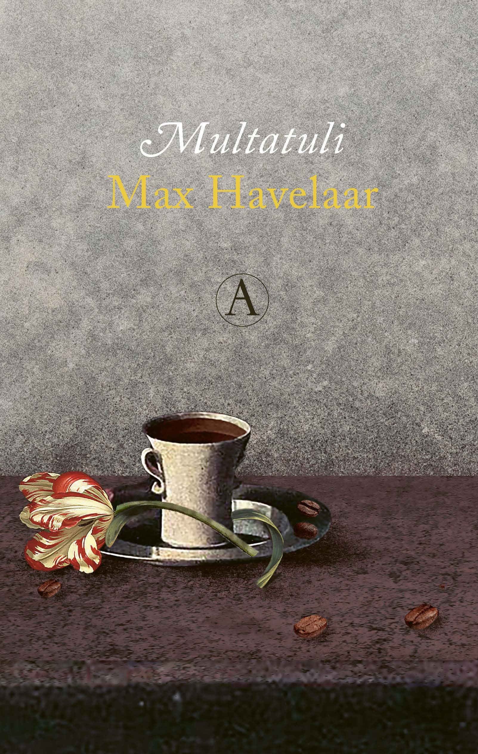Max Havelaar book