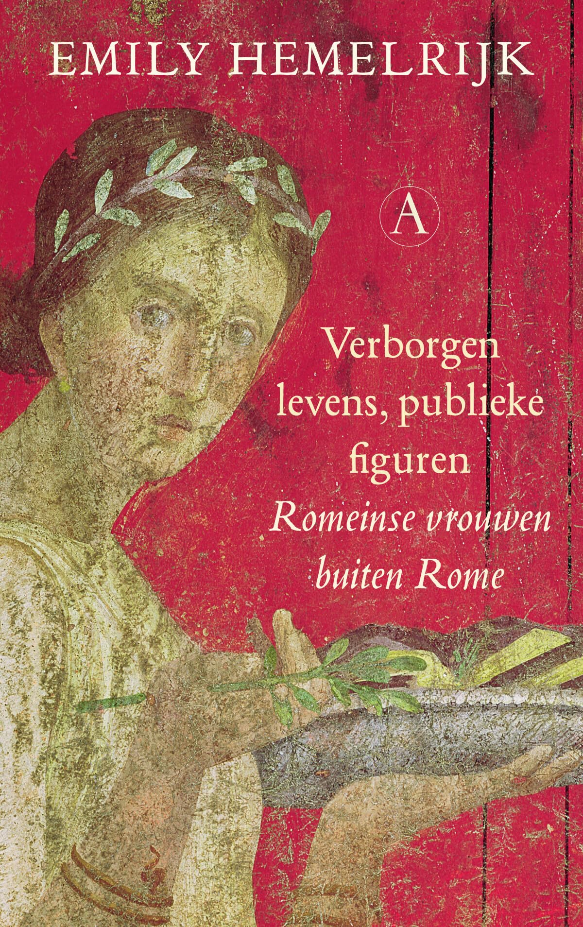 Verborgen levens, publieke figuren: Romeinse vrouwen buiten Rome book
