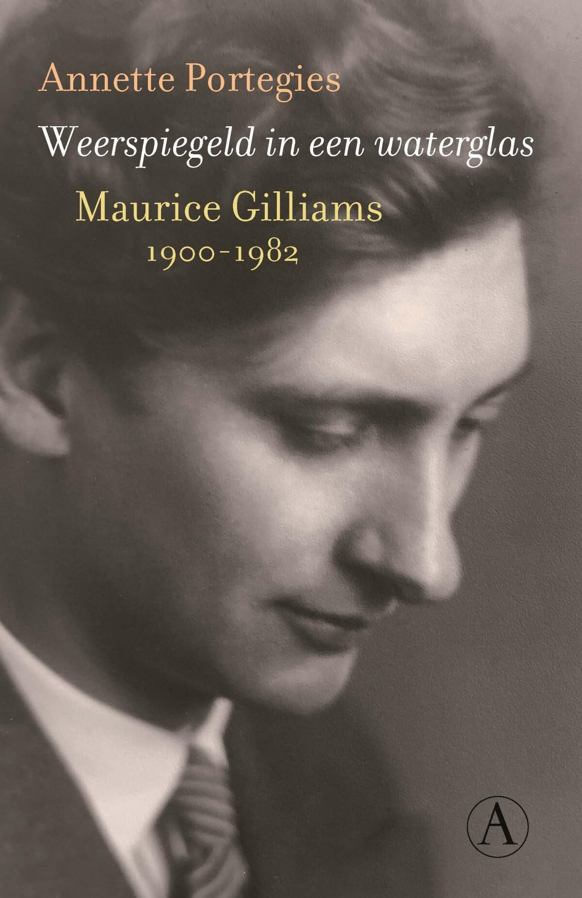 Weerspiegeld in een waterglas: Maurice Gilliams 1900-1982 book